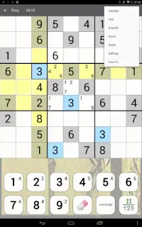 Sudoku Premium Screen Shot 4