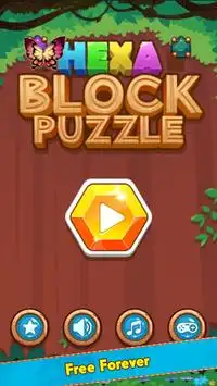 Block hexa jewel Screen Shot 0