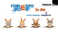 Foire de Sciez - le jeu Screen Shot 0