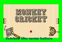 Monkey Cricket Screen Shot 0