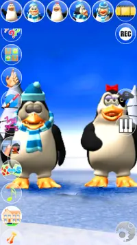 Hablar Pengu y Penga pingüino Screen Shot 5