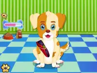 Puppy Pflege Mädchen Spiele Screen Shot 4