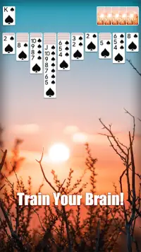 Spider Solitaire - Card Game Screen Shot 3