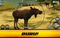 Wild Hunt: Permainan Memburu Screen Shot 17