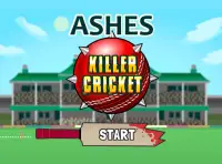 Ashes Killer Cricket Screen Shot 1