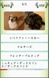 Names／わんにゃばー いろんな名前覚えよう（犬・猫・鳥） Screen Shot 3