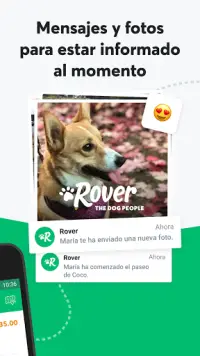 Rover - Cuidadores de perros Screen Shot 2