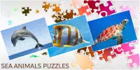 Sea Animals Jigsaw Puzzle Screen Shot 3