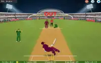Fat Cricket Batsman Screen Shot 3