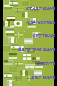 Memory Flag Game Screen Shot 3