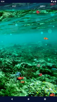 Ocean Fish Live Wallpaper 4K Screen Shot 6
