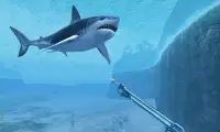 Shark VR sharks games for VR Screen Shot 2