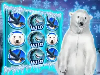 Polar Bear: Free Slots Casino Screen Shot 5