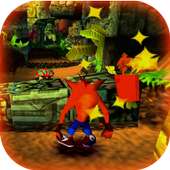 Crash Jungle Escape Bandicoot Games