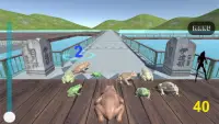 Sun Moon lake 9 frogs Screen Shot 1