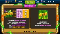 Crazy Monkey Slot Machine Screen Shot 6