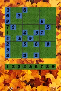 Sudoku for everyone Screen Shot 3