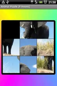 Animal Puzzle (Lite) Screen Shot 0