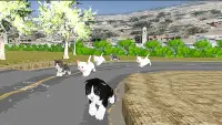 Kitten Cat Craft Racing:Cute Cat World Tournament Screen Shot 1