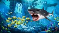 jeux de requin 2023 Screen Shot 2