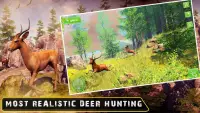 Wild Hunter Games - Animal Shooting Simulator Screen Shot 1