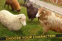 Sheep Racing Adventure Game 3D Screen Shot 3