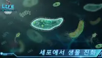 Life on Earth: 유휴 진화 게임 Screen Shot 0