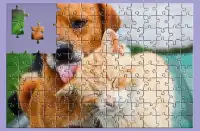 Jigsaw Puzzle Hewan Screen Shot 5