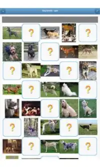 Dog breeds - quiz Screen Shot 4