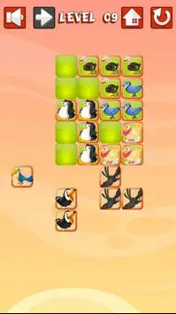 Puzzle of Birds- Logic Game Screen Shot 3