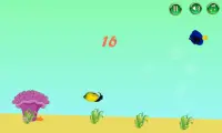 Freshwater Fish Counting Game Screen Shot 0