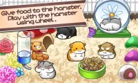 Hamster Life - 햄스터 라이프 Screen Shot 8
