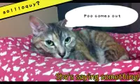 Paper Bag MOMO 2 (cat app) Screen Shot 0