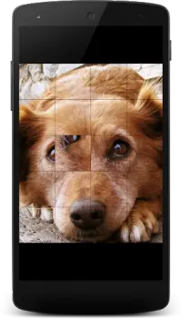 Dogs Jigsaw Puzzles for Kids Screen Shot 5