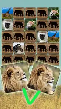 Animals Puzzle Zoo free - games for all ages Screen Shot 0