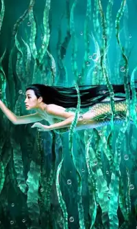 Mermaid Live Wallpaper Screen Shot 2