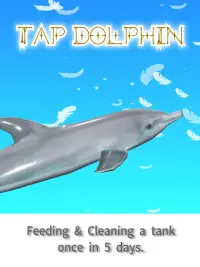 Tap Dolphin -3Dsimulation game Screen Shot 6