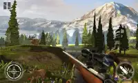 Safari Sniper Hunter 3D Screen Shot 3