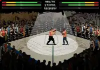 Smash Boxing Screen Shot 0