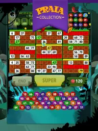 Video Bingo Ubatuba Screen Shot 5