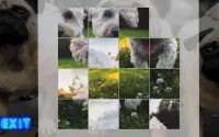 Puppy Dog Puzzle Slide - Sliding Tiles Game Screen Shot 14