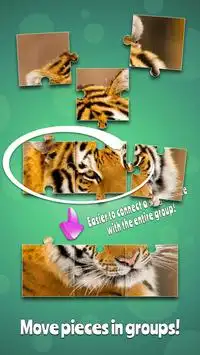 Tigers Jigsaw Puzzle Game Screen Shot 5