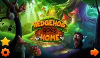 Hedgehog goes home Screen Shot 6