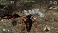 Ant Simulation 3D - Insect Sur Screen Shot 2
