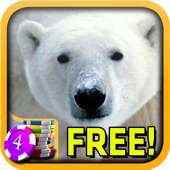 Polar Bear Slots - Free