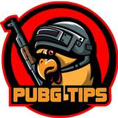 Guide For PUBG Mobile - Stats, Tips, Merch & More
