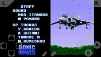 Sonics Wing Screen Shot 0