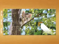 Cat Puzzles - Drag & Swap Screen Shot 16