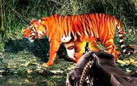 Wild Tiger Hunter 2016 Screen Shot 6