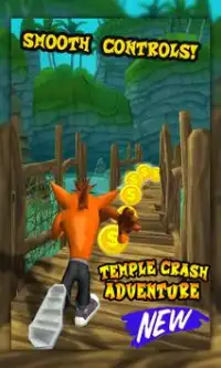 Temple Crash Jungle 3D Screen Shot 2